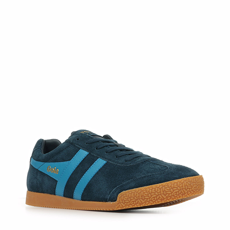 Harrier Suede