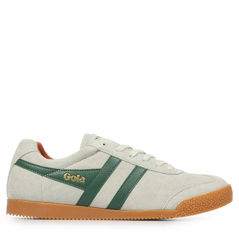 Harrier Suede