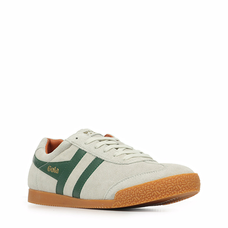 Harrier Suede