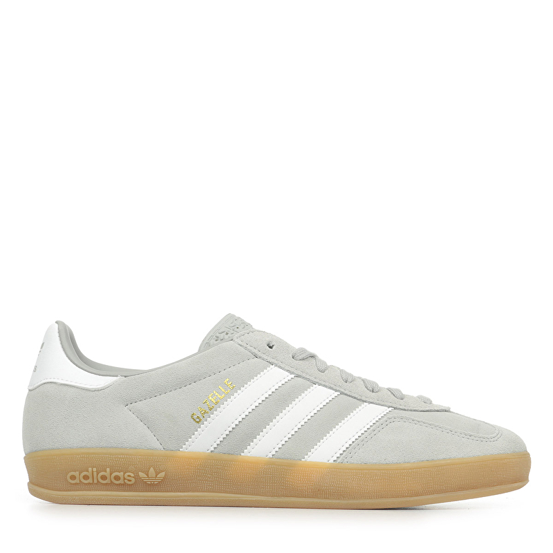 Gazelle indoor Gazelle indoor