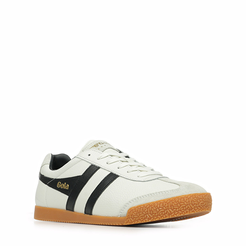 Harrier Leather Harrier Leather