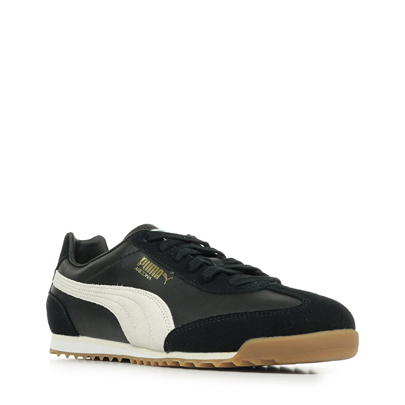 Arizona Retro Arizona Retro