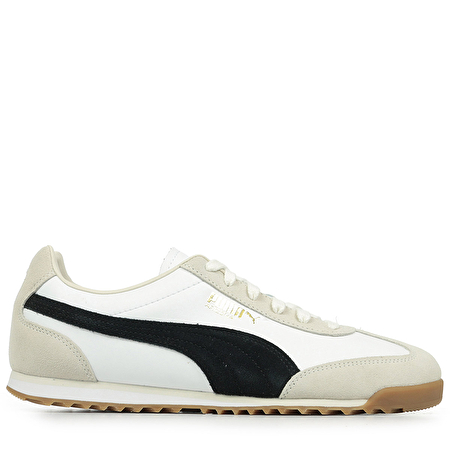 Arizona Retro Arizona Retro