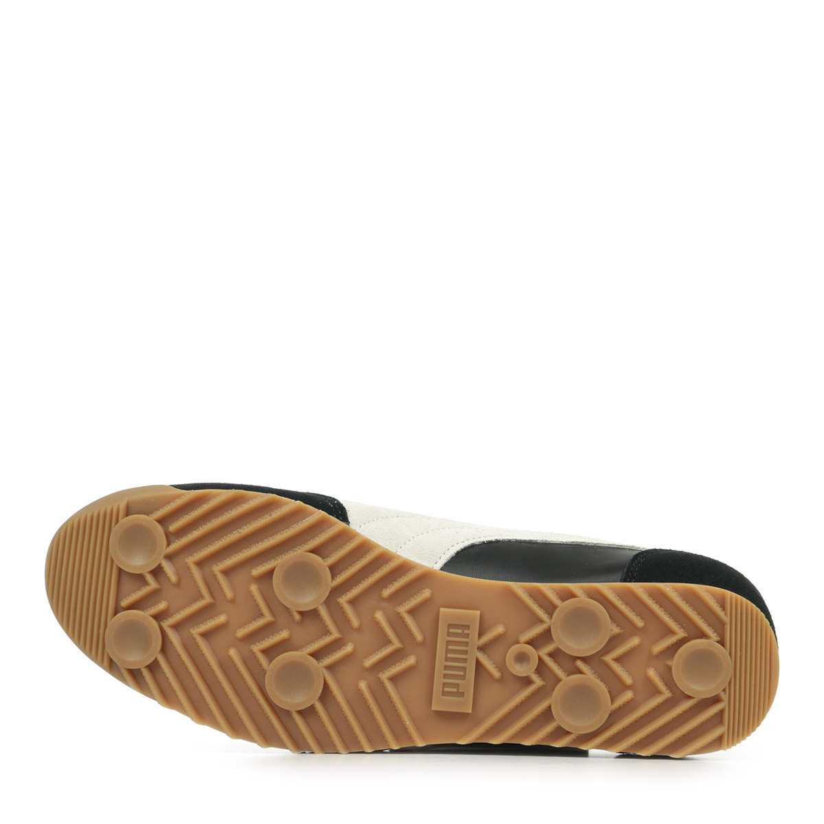 Arizona Retro Arizona Retro