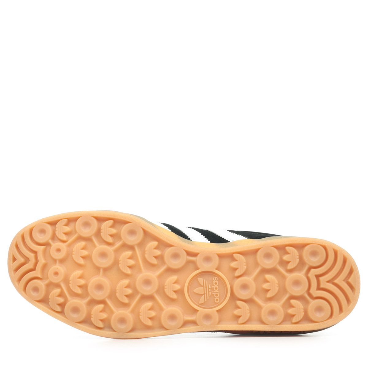 Gazelle Indoor