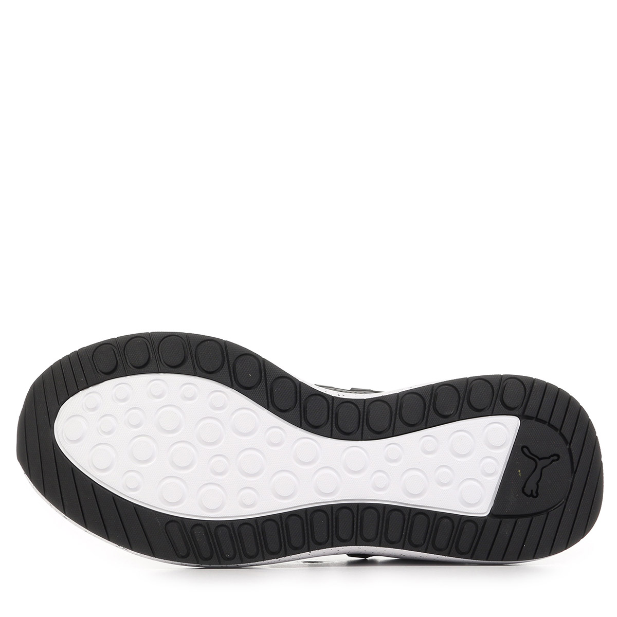 Softride Carson 2 Pulse