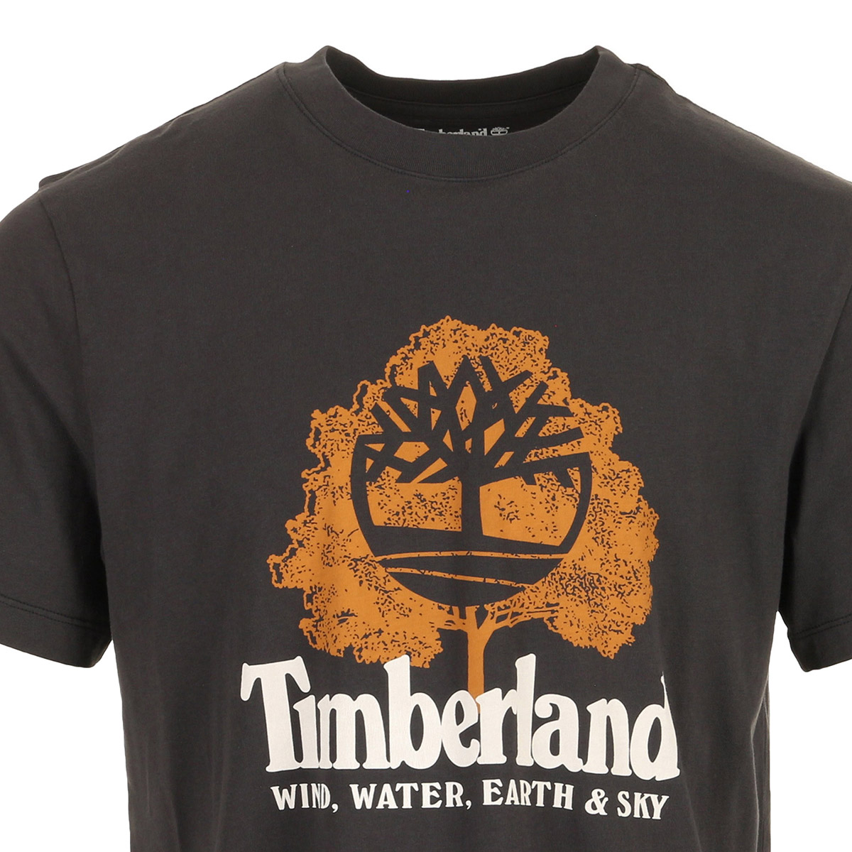 Wwes Ss Front Graphic T Wwes Ss Front Graphic T