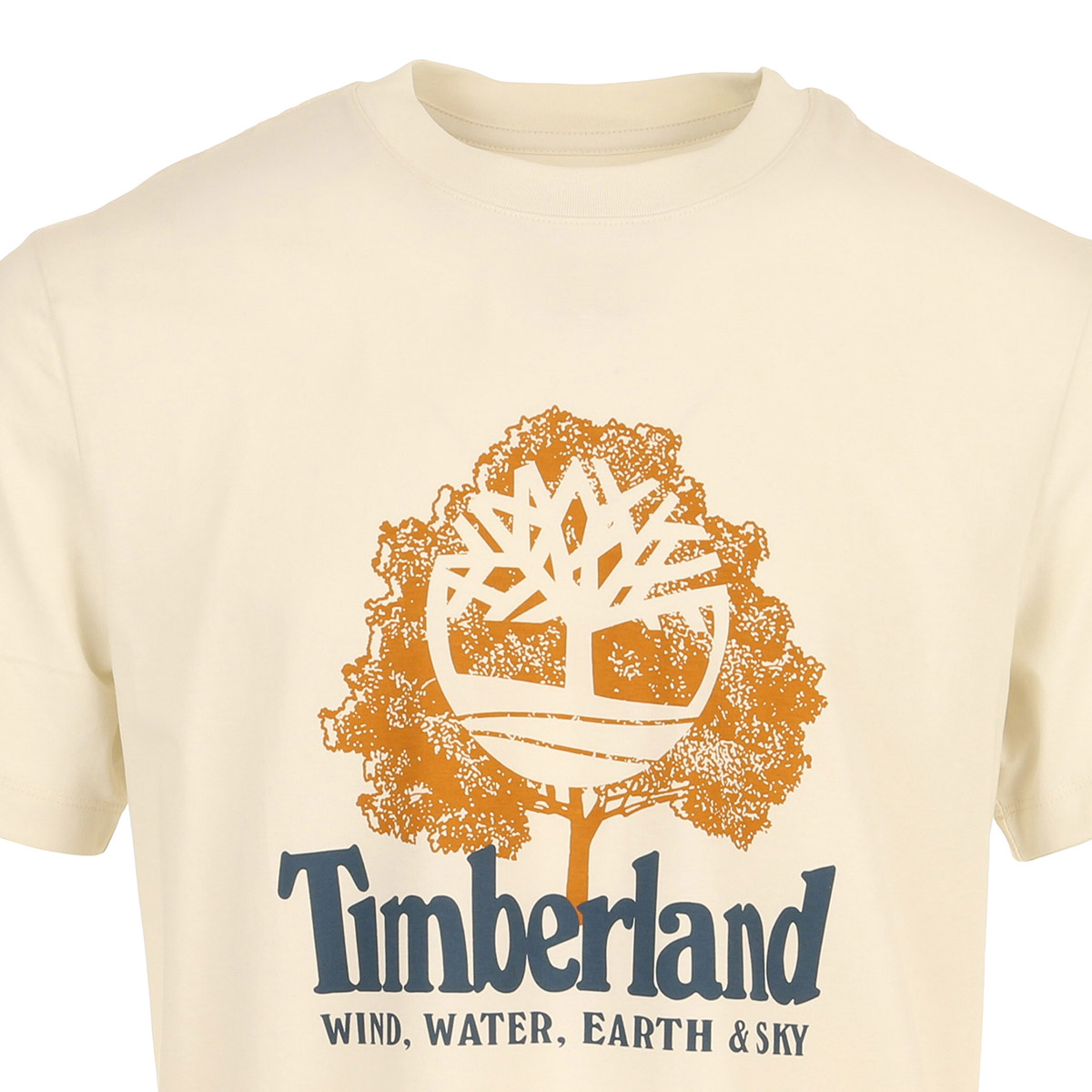 Wwes Ss Front Graphic T Wwes Ss Front Graphic T