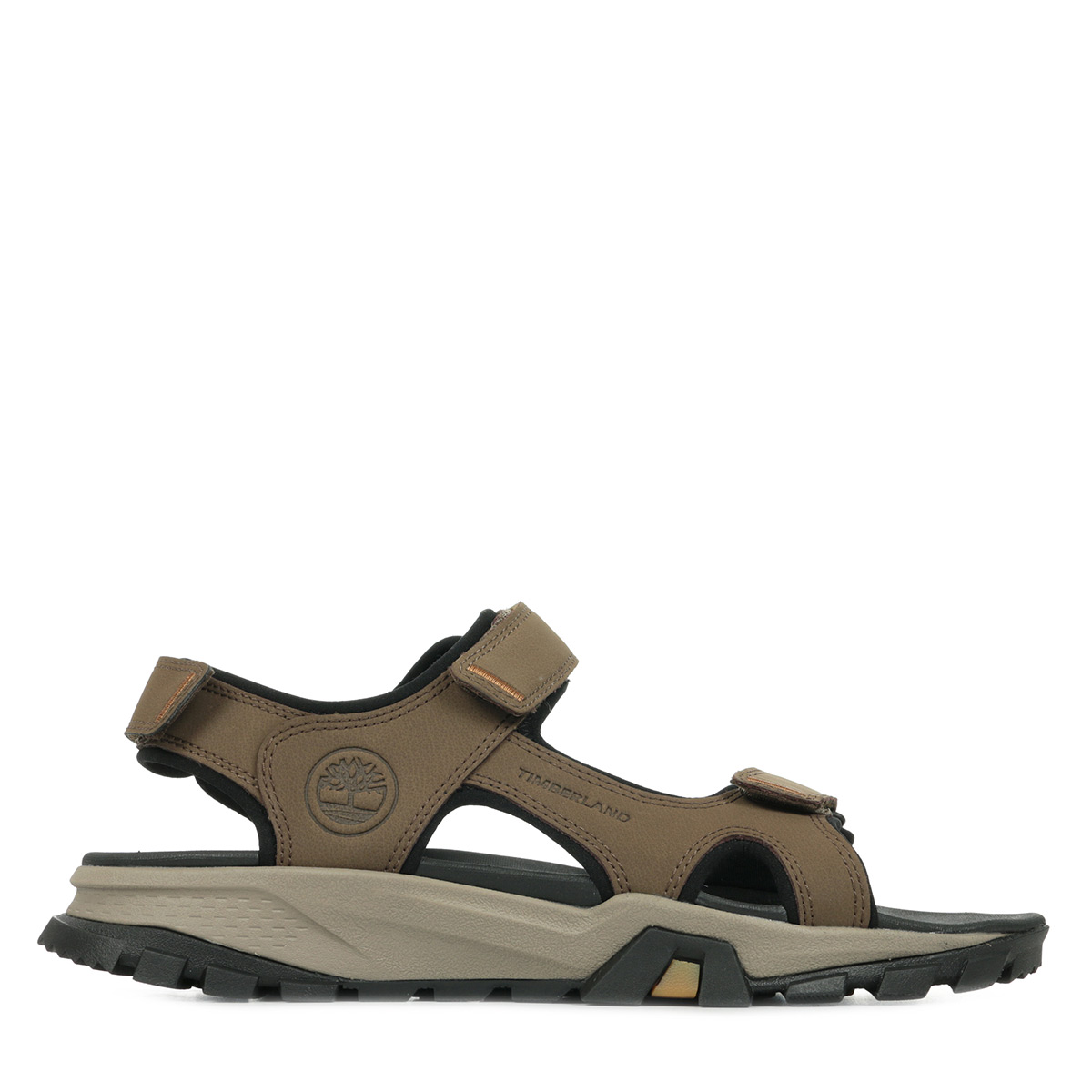 Lincoln Peak Strap Sandal