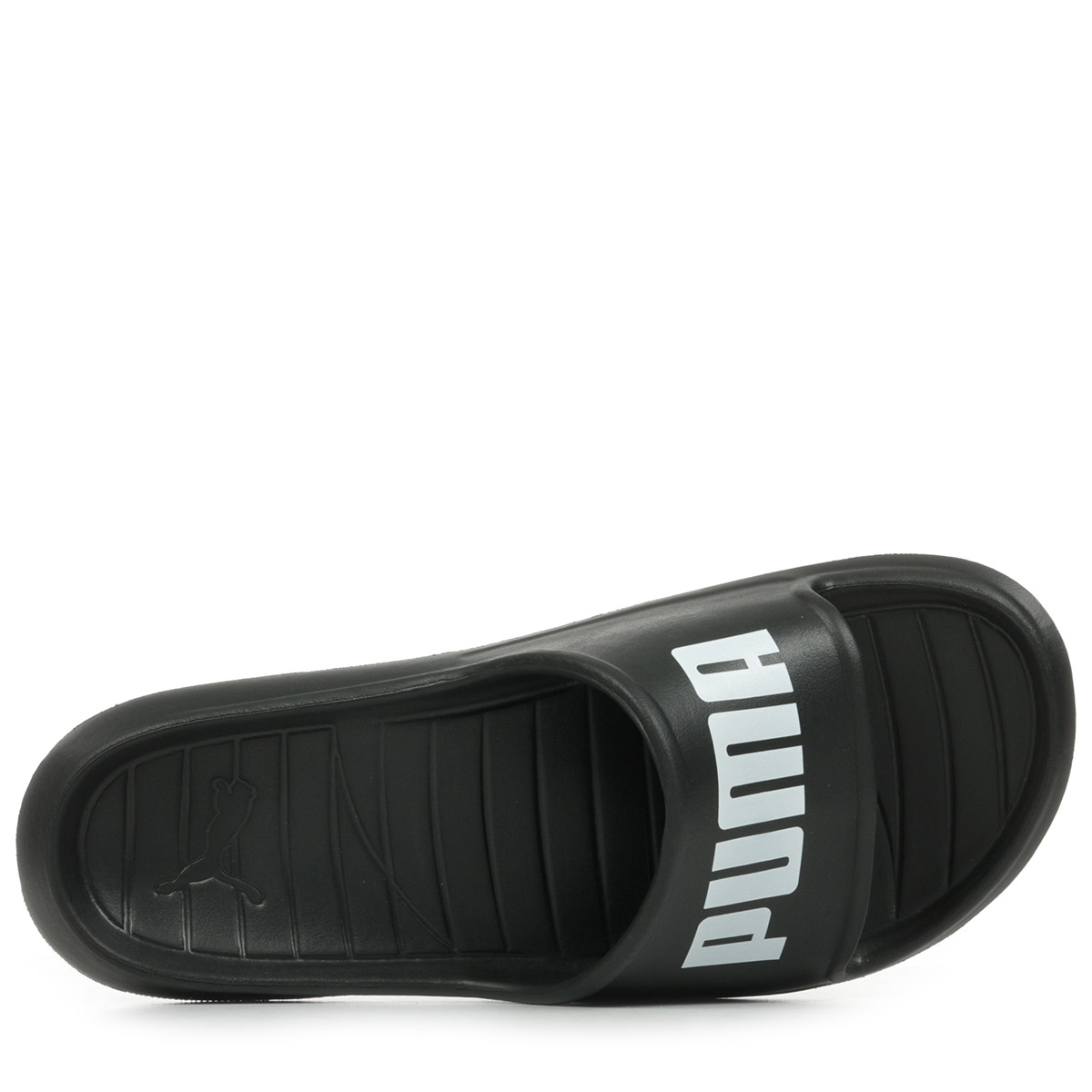 Divecat V2 Lite Divecat V2 Lite