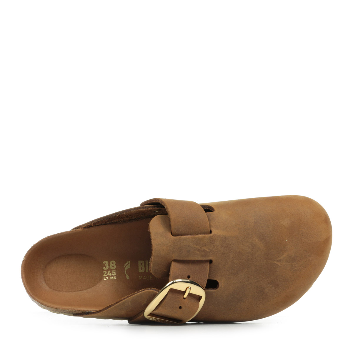 Boston Oiled Leather Big Buckle