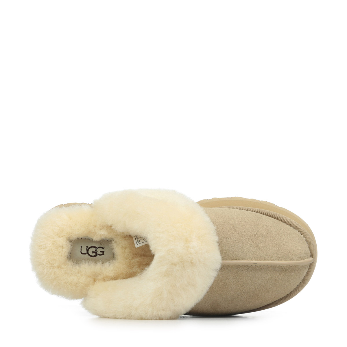 W Disquette W Disquette