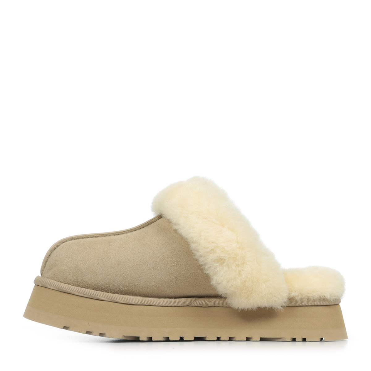 W Disquette W Disquette